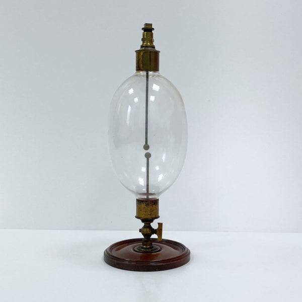 Victorian Faradays Egg Experiment by William Ladd, London