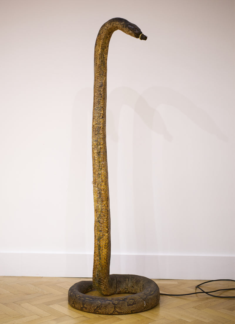 Victorian Twelve Foot Taxidermy African Rock Python Lamp Stand