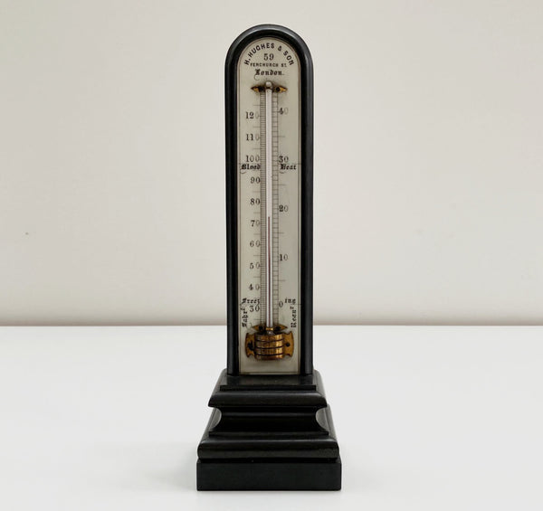 Large Victorian Desk Thermometer by Henry Hughes & Son of 59 Fenchurch St, London