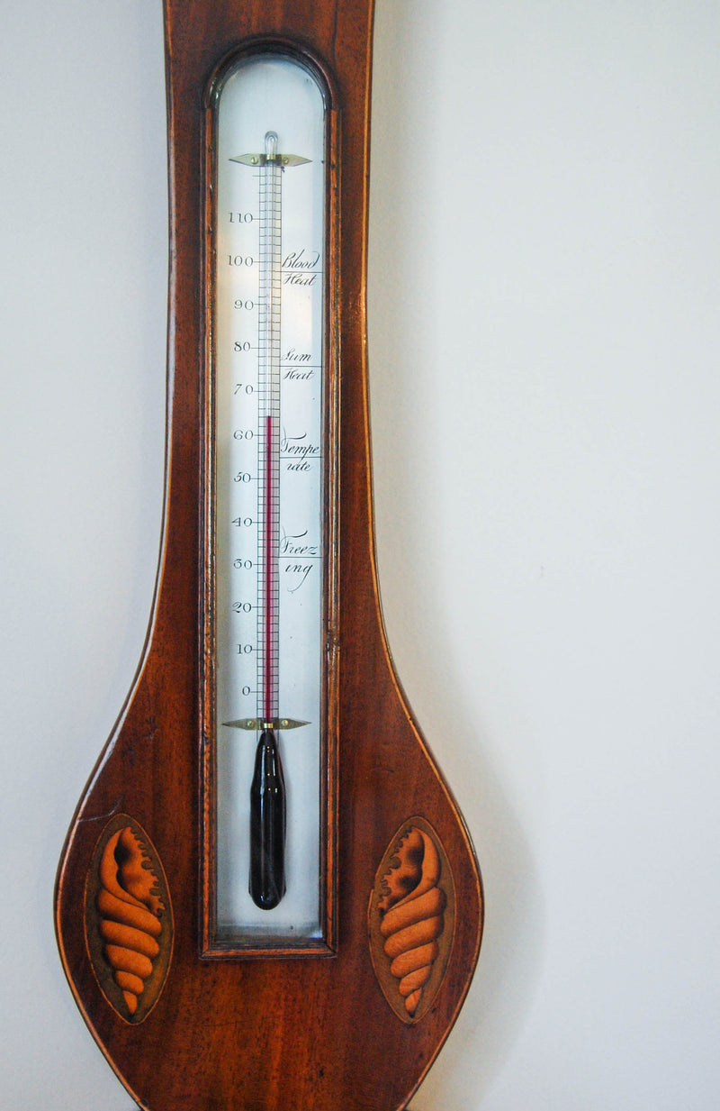 Regency Period Mahogany & Satinwood Wheel or Banjo Barometer by C. Bellatti