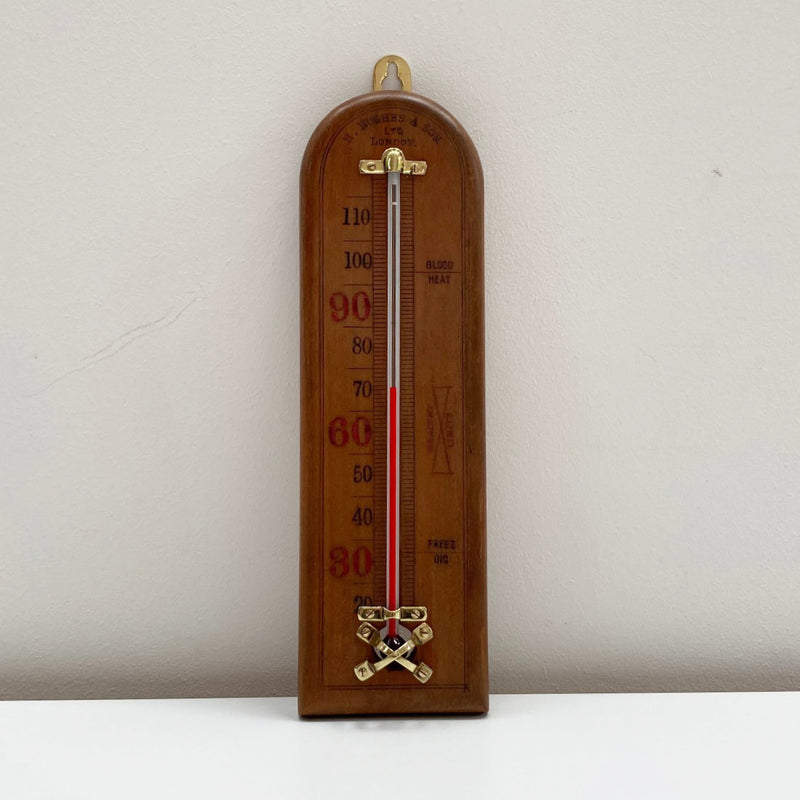 Edwardian Wall Thermometer by Henry Hughes & Son Ltd London