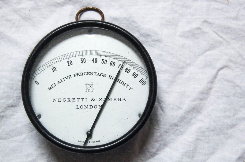 Early Twentieth Century Humidity Reader or Hygrometer by Negretti & Zambra - Jason Clarke Antiques